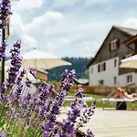 Hirschen Wohlfuehlhotel Bregenzerwald 4* ショペルナウ