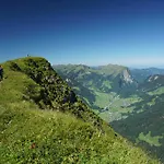 ホテル Hirschen Wohlfuehlhotel Bregenzerwald