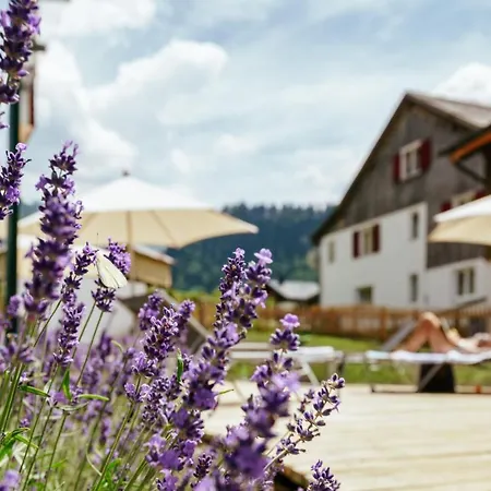 Hirschen Wohlfuehlhotel 4* Schoppernau